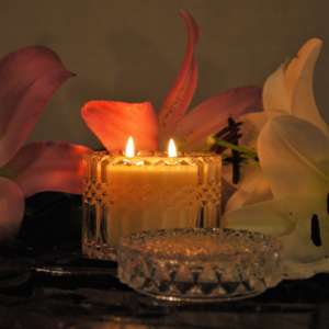 Orange Blossoms - Luxury Scented Candle