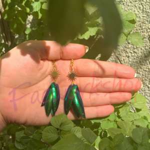 Beetle Wings Earrings