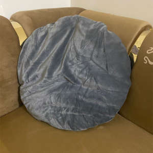 Pair Of Two Grey Round Cushion Cover