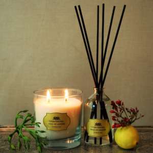 Duo pack of Citrus Tea Reed + Candle