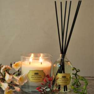 Duo No 14 - Honeysuckle Reed + Candle